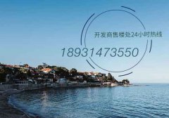 天津滨海新区鼓浪水镇热销最新房价怎么样？
